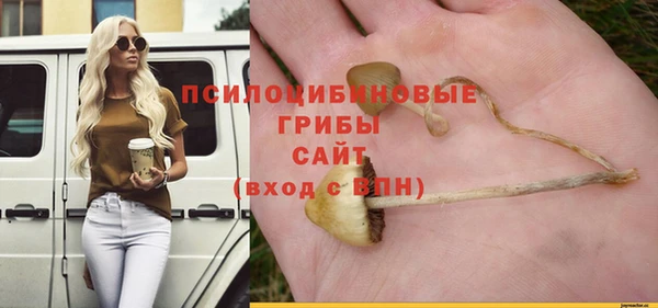 меф Кинешма