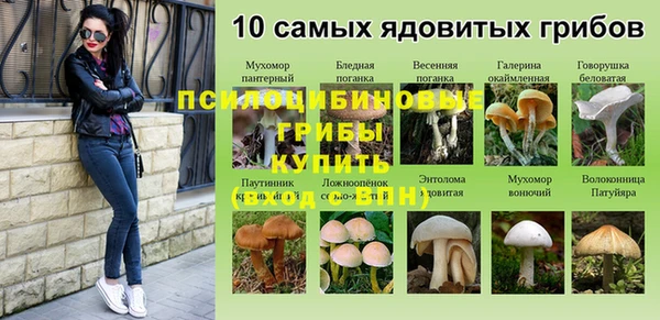 spice Алзамай