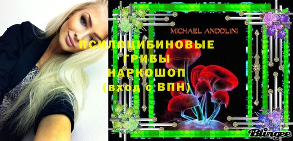 apvp Алексин