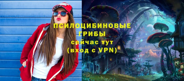 apvp Алексин