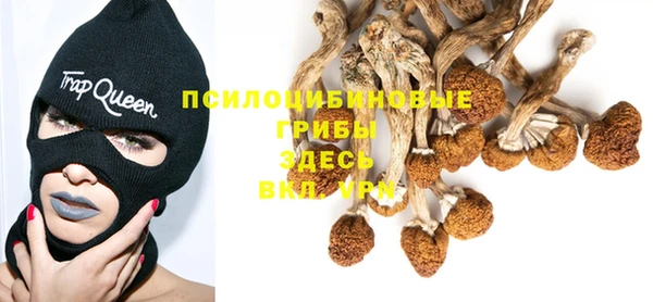 spice Алзамай