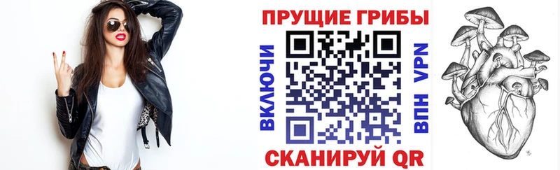 даркнет клад Ишим Галлюциногенные грибы мицелий где найти